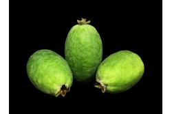 Compra Fruta de Temporada | FEIJOAS | FrutasNieves