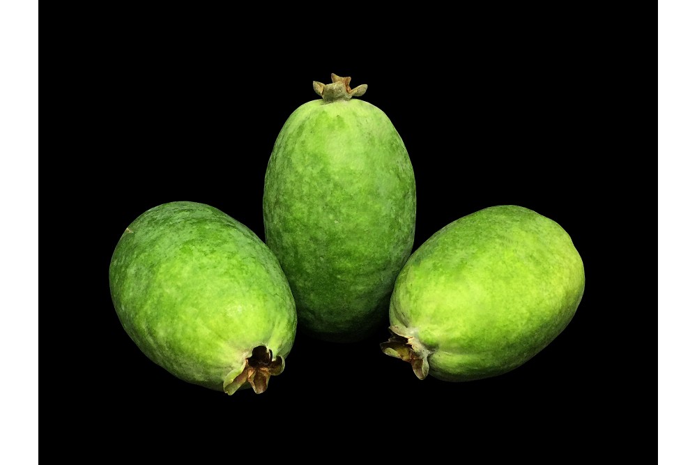 Compra Fruta de Temporada | FEIJOAS | FrutasNieves