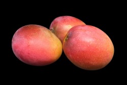 Compra Fruta de Temporada | MANGO TROPICAL | FrutasNieves